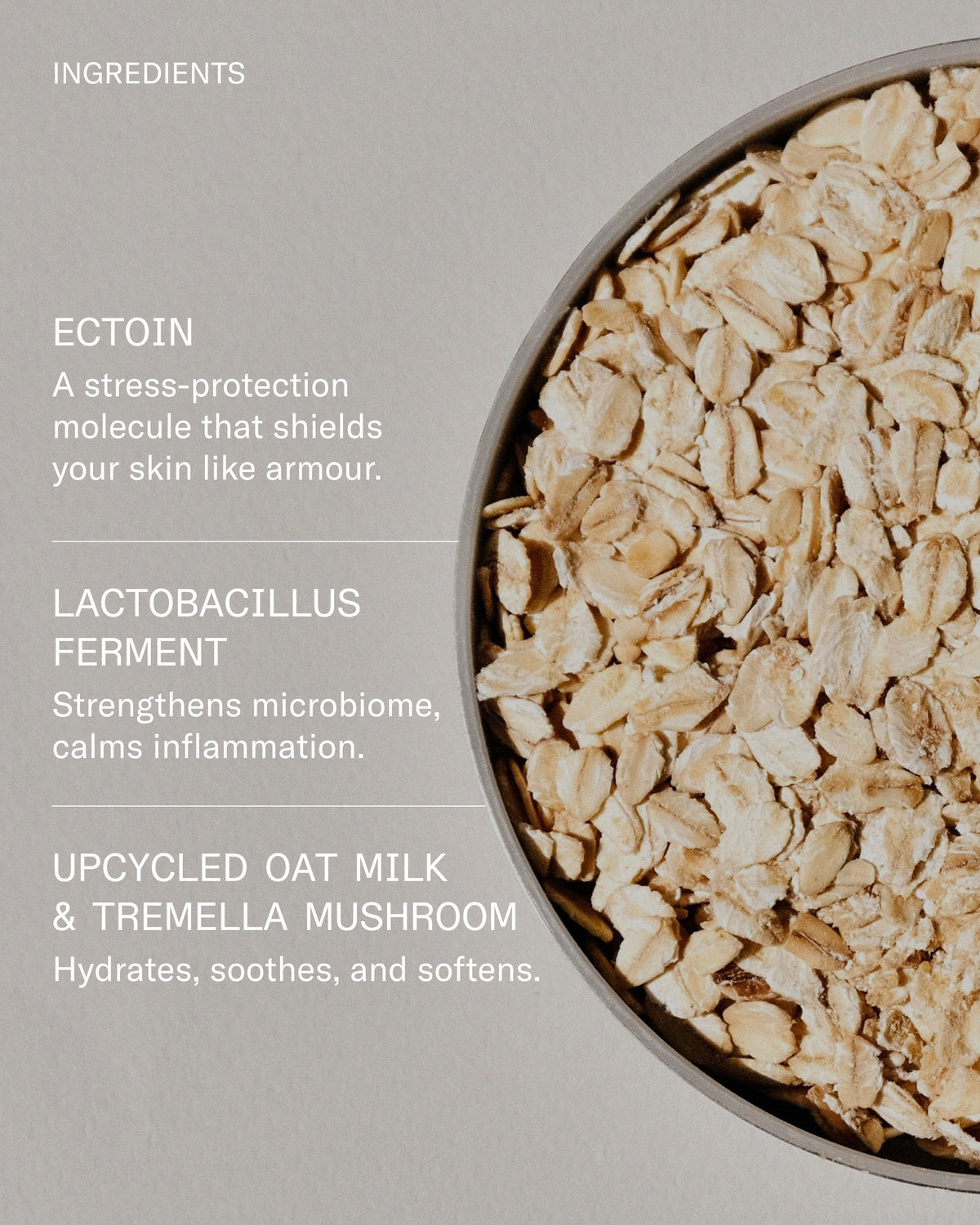 Ectoin BarrierBuild Milk